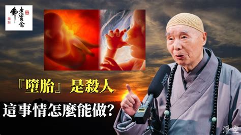 墮胎因果|為什麼墮胎是結很深的怨仇？｜淨空老法師開示．因果 